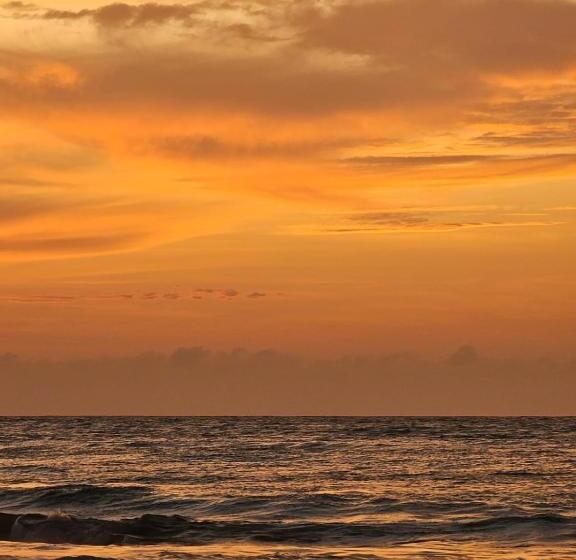 ペンション Casa Norte North Beach