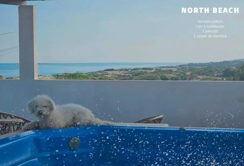 ペンション Casa Norte North Beach