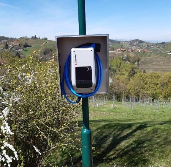 Bed and Breakfast Gäste Und Vitalhaus Sauer