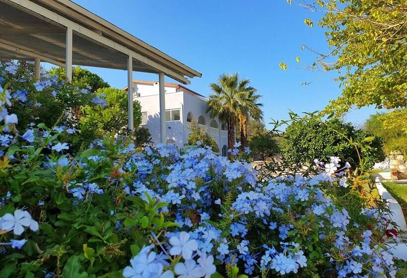 Dilek Agaci Butik Otel