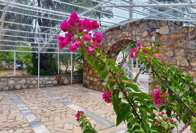 Dilek Agaci Butik Otel