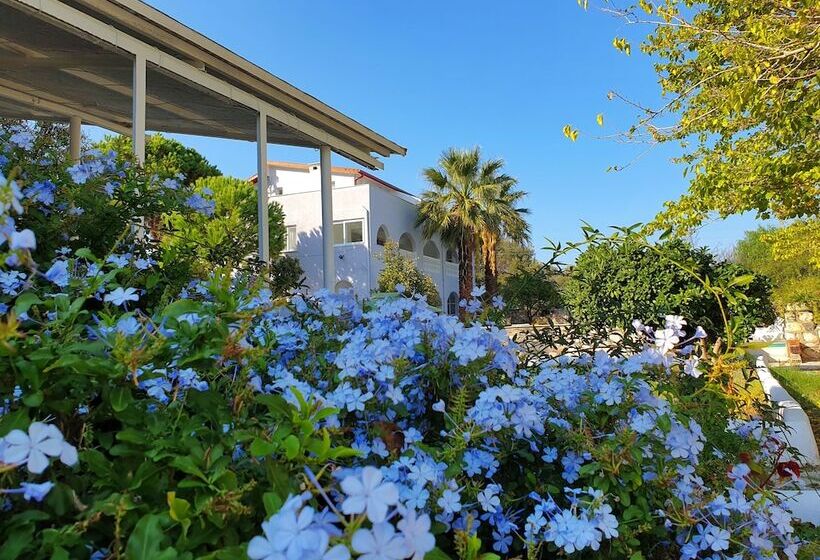 Dilek Agaci Butik Otel