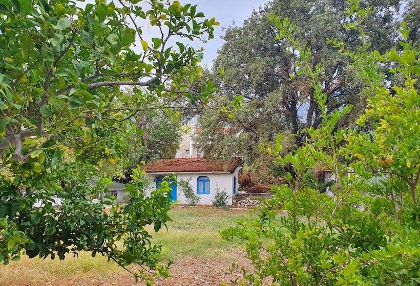 Dilek Agaci Butik Otel