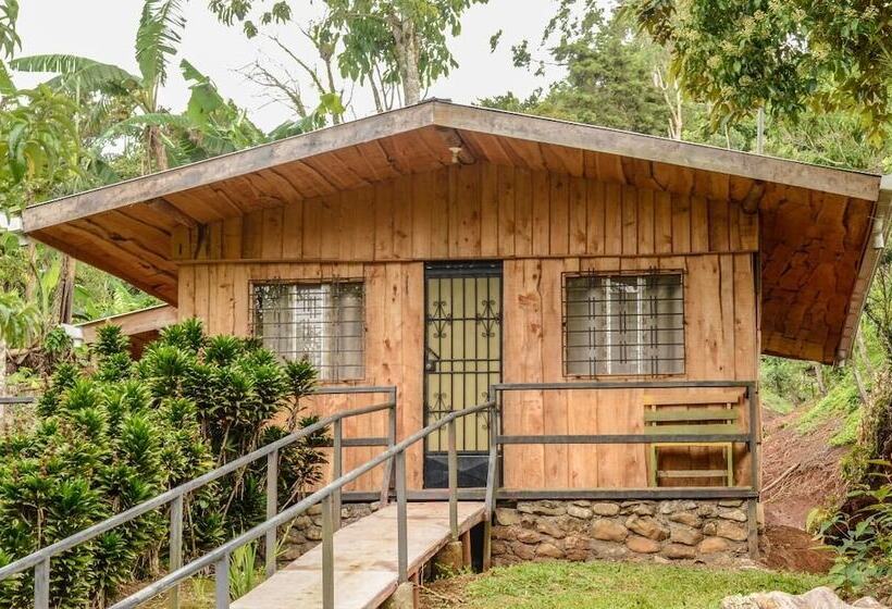Отель Los Cafetales Eco Lodge