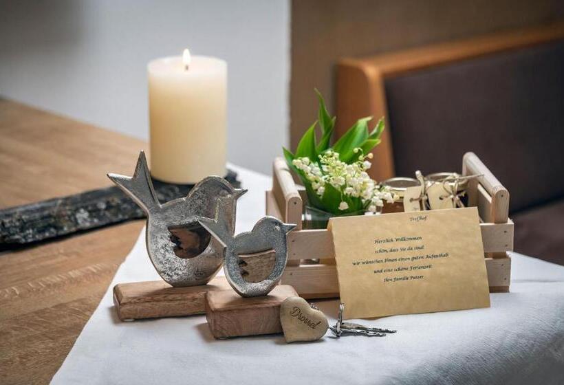 בית מלון כפרי Treffhof