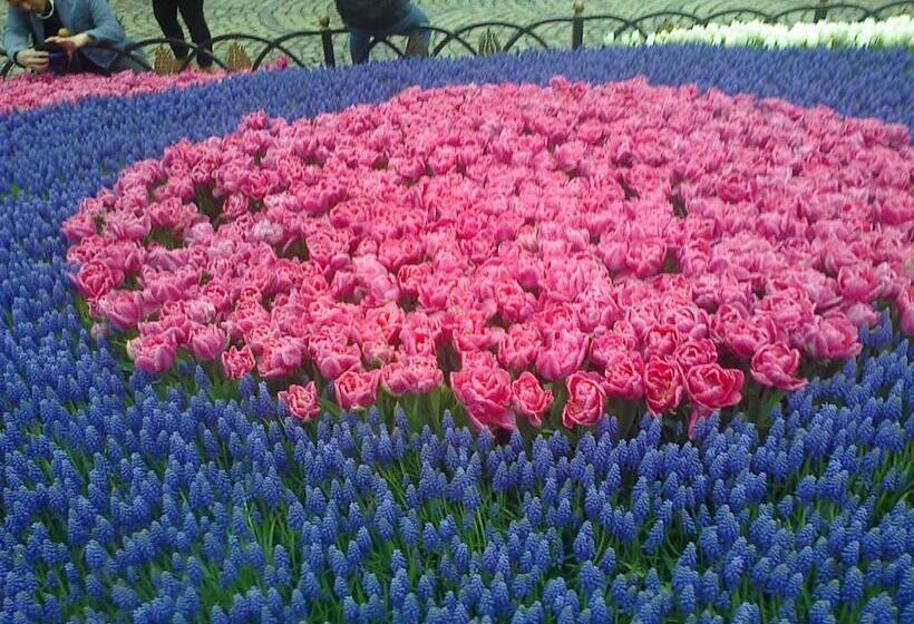 Пансион Guest House Kami