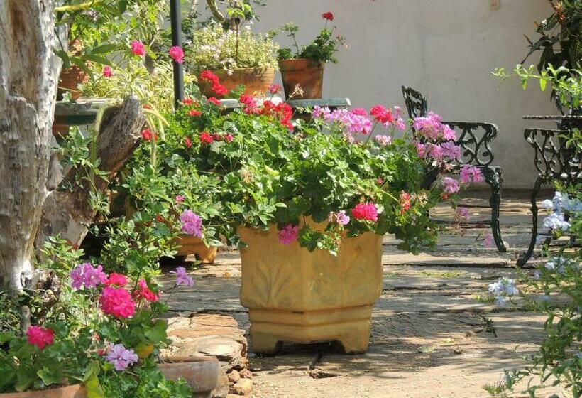 Пансион Pousada Solar Dos Sepúlvedas