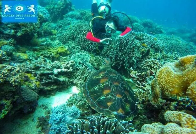 Reddoorz Plus @ Gracey Dive Resort Dumaguete