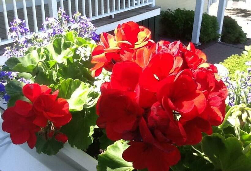 مبيت وإفطار Harbor House Inn