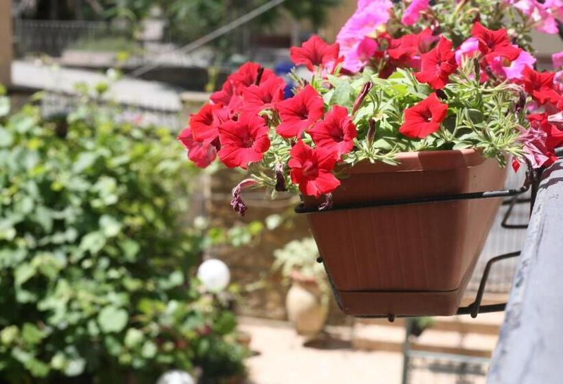 민박 Appartamento A Casa Di Gesuè