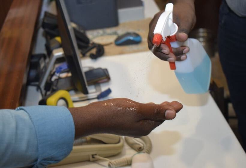 בית מלון כפרי Ramana Residency