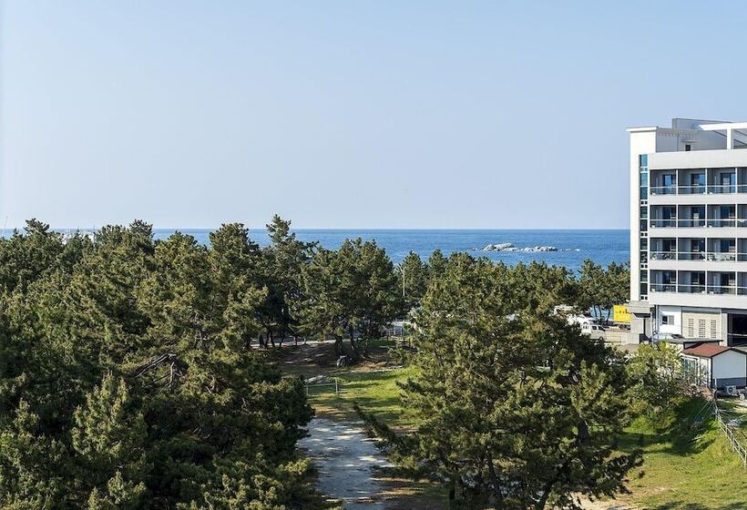 مُتل Gangneung Gyeongpodae Swan