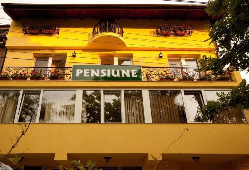 Pension Dinu Residence