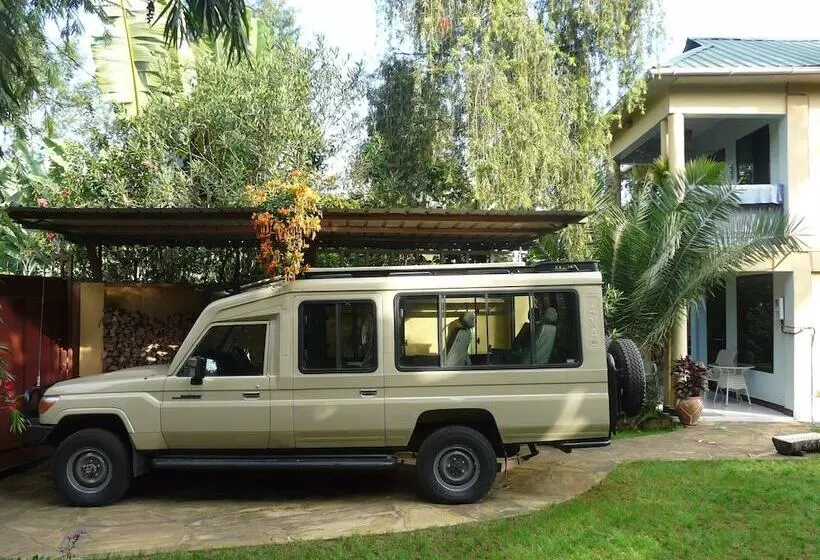 Banana House   Hostel