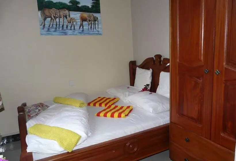 Banana House   Hostel