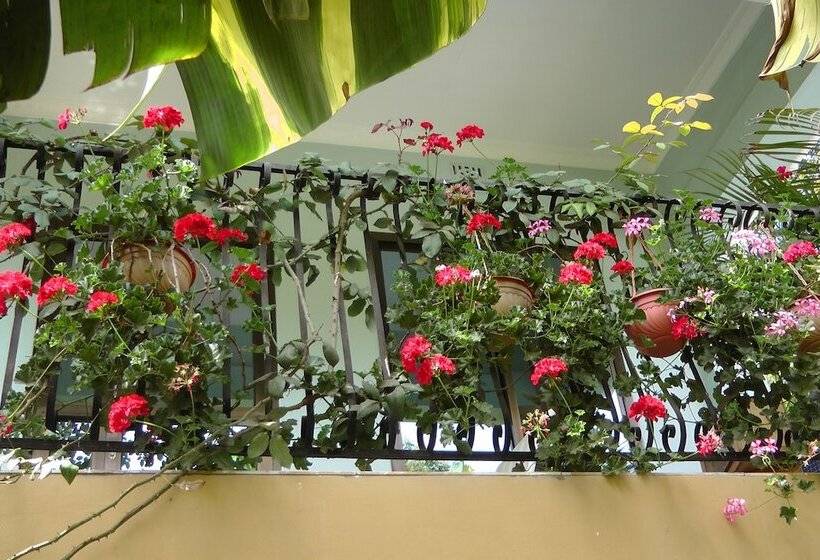 Banana House   Hostel