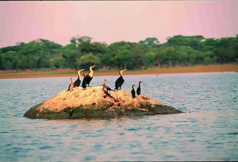 هتل Chaminuka Lodge And Nature Reserve