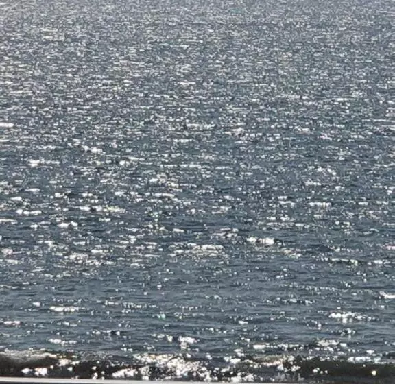 Hotelli Palolem Hideout