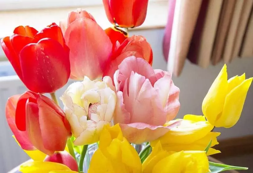 Achill Cliff House Hotel & Restaurant