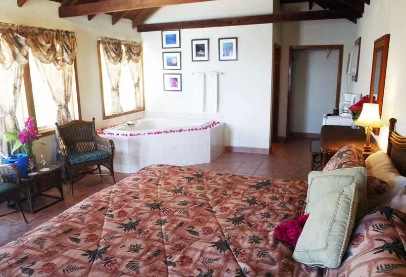 Exotic Caye Beach Resort