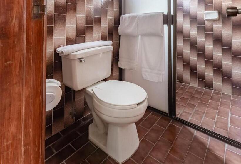 هتل Capital O Mansión Los Arcos