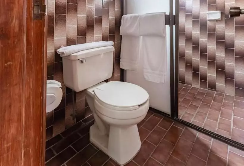 هتل Capital O Mansión Los Arcos