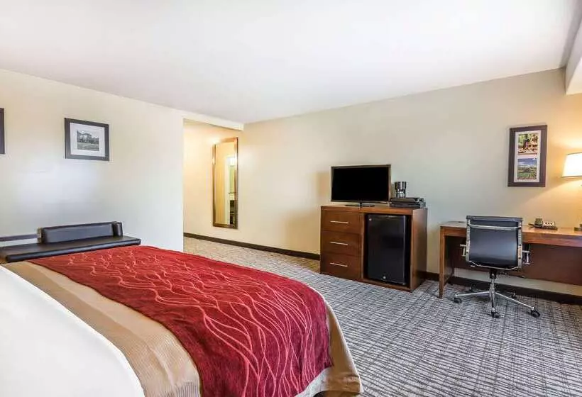 ホテル Comfort Inn Pomona Near Fairplex