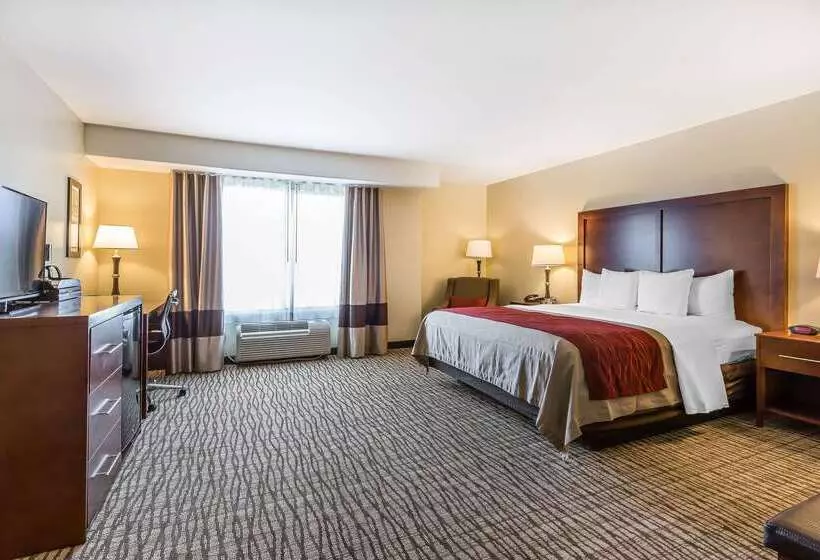 ホテル Comfort Inn Pomona Near Fairplex