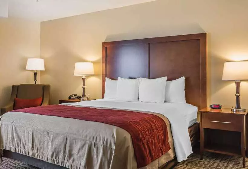 ホテル Comfort Inn Pomona Near Fairplex