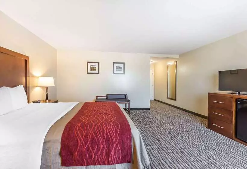 ホテル Comfort Inn Pomona Near Fairplex