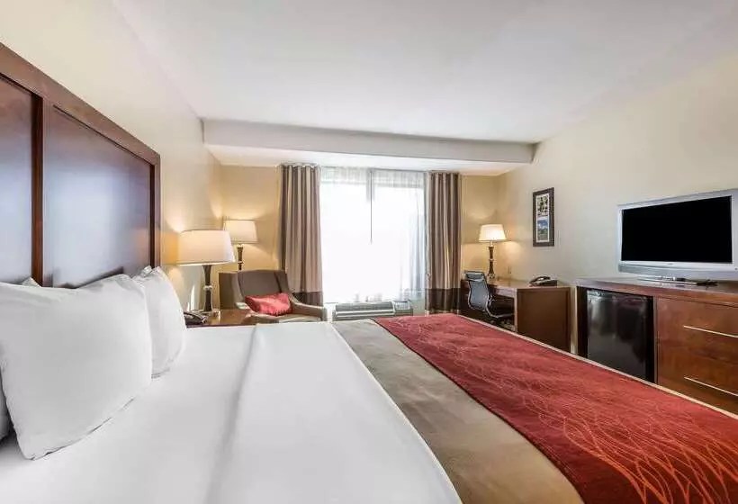 ホテル Comfort Inn Pomona Near Fairplex