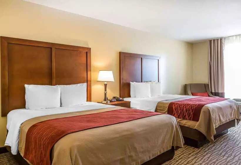 ホテル Comfort Inn Pomona Near Fairplex