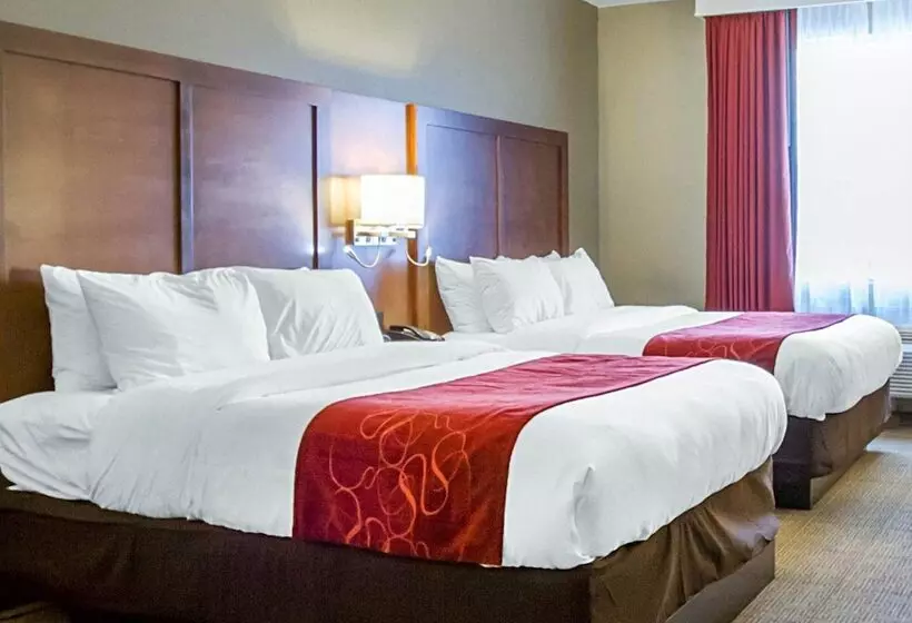 Отель Comfort Suites