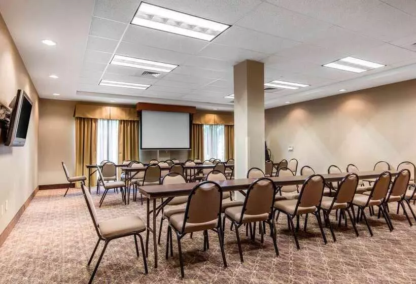 酒店 Comfort Suites