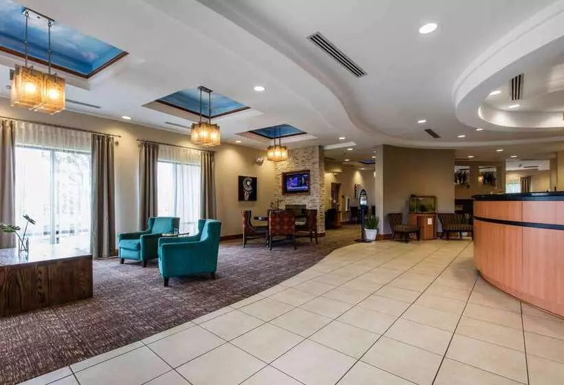 酒店 Comfort Suites