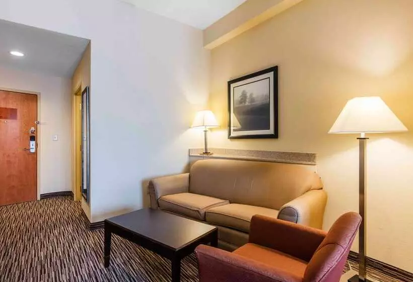 酒店 Comfort Suites