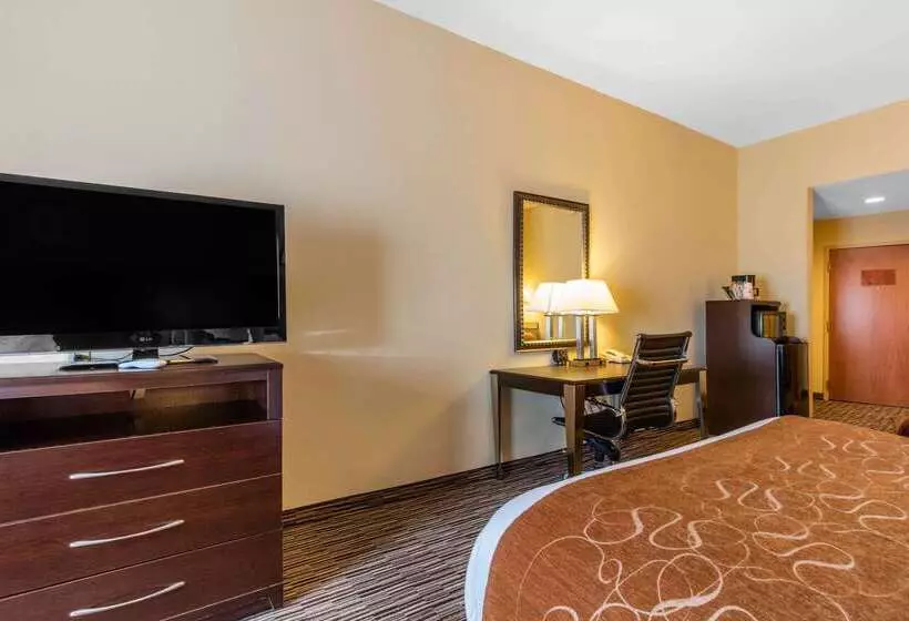 酒店 Comfort Suites