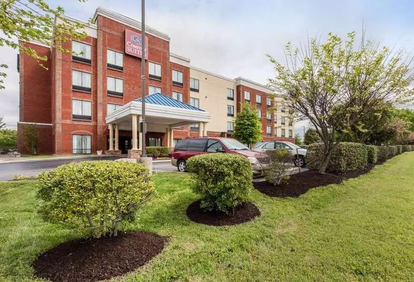 酒店 Comfort Suites