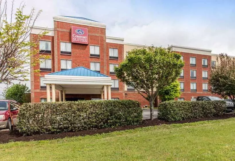 酒店 Comfort Suites