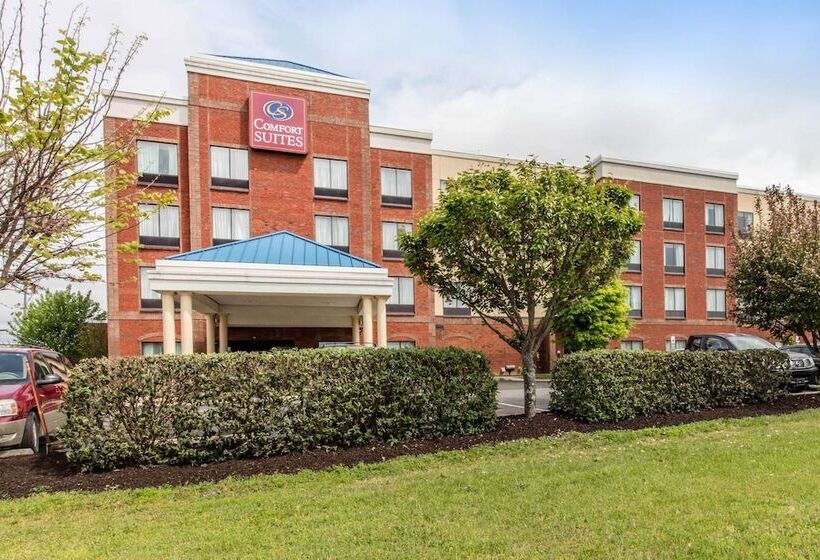 호텔 Comfort Suites