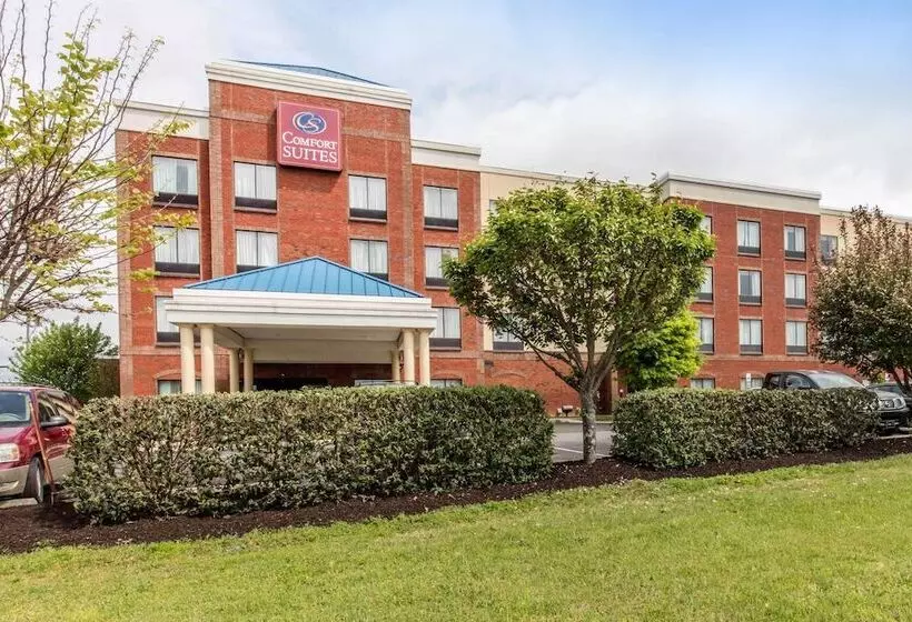 酒店 Comfort Suites