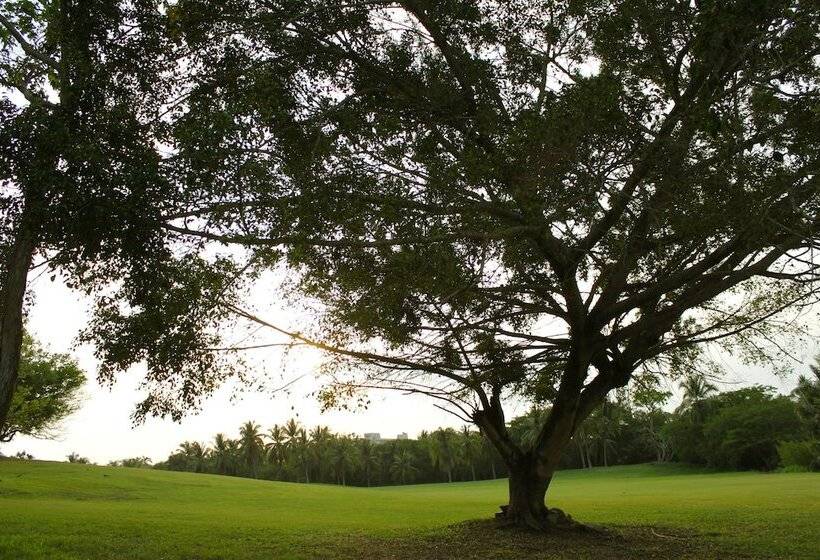 هتل Coral Vista del Mar