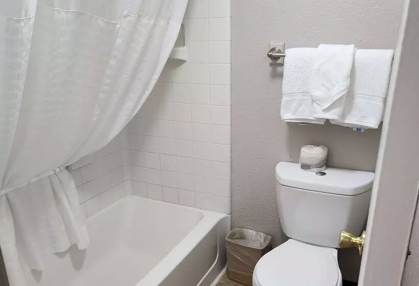 בית מלון כפרי Days Inn By Wyndham Denver Downtown