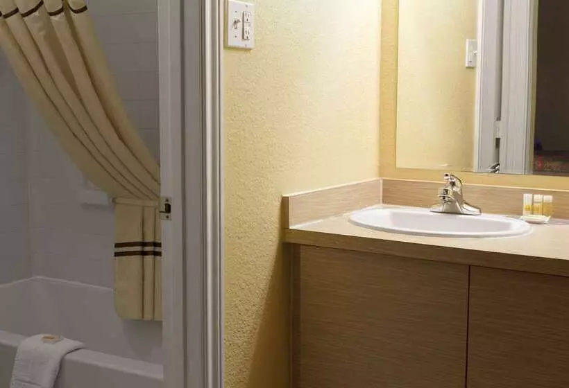 בית מלון כפרי Days Inn By Wyndham Denver Downtown