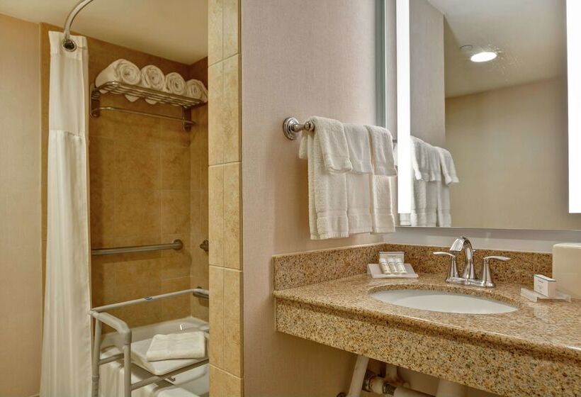 호텔 Hilton Garden Inn Lake Buena Vista/orlando