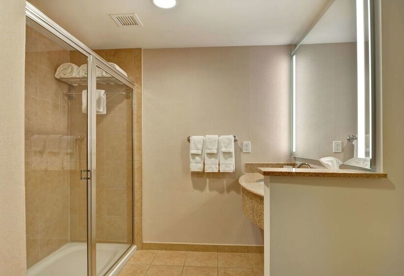 호텔 Hilton Garden Inn Lake Buena Vista/orlando