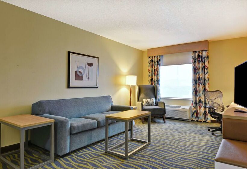 호텔 Hilton Garden Inn Lake Buena Vista/orlando