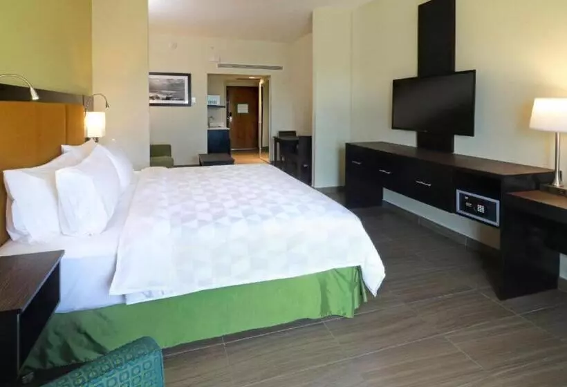 ホテル Holiday Inn Tampico Altamira, An Ihg