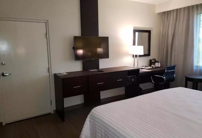 ホテル Holiday Inn Tampico Altamira, An Ihg