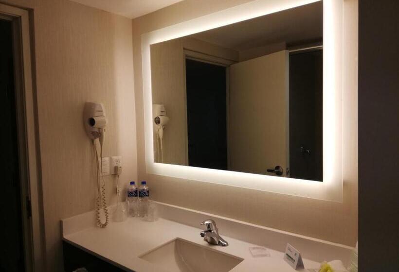 Otel Holiday Inn Tampico Altamira, An Ihg